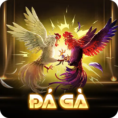 đá gà